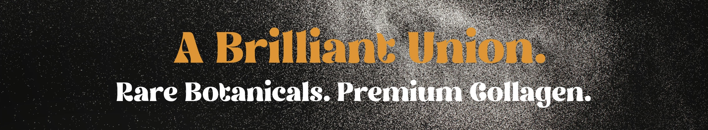 Brilliant Union banner